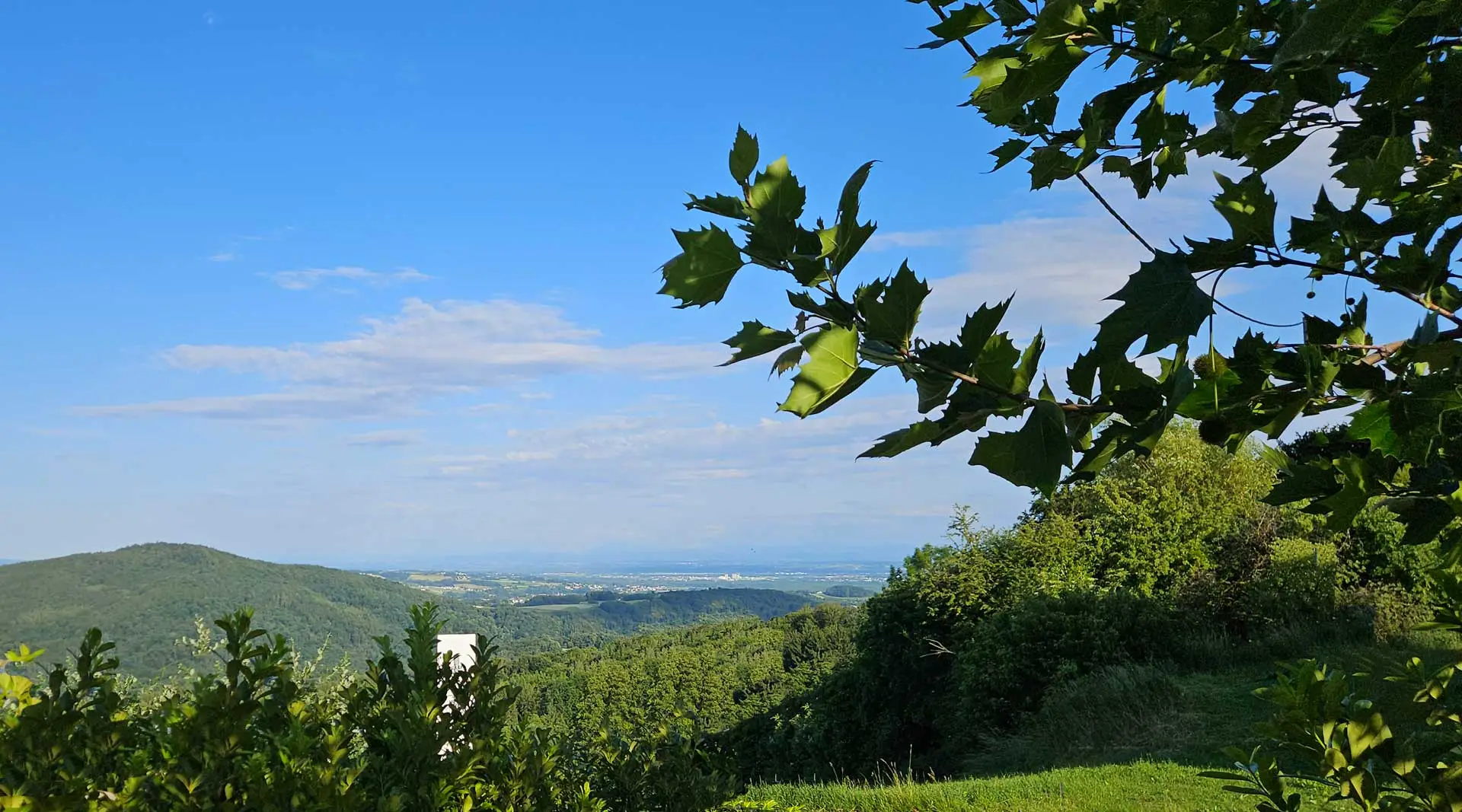 Der Blick bis Linz